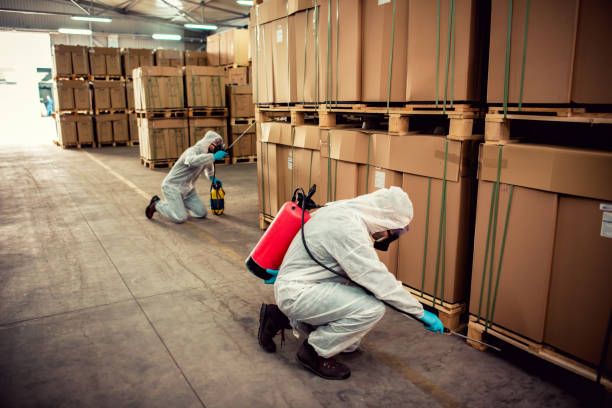 Best Exterminator Services  in Greenacres, CA