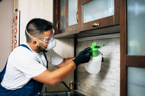 Best Bed Bug Extermination  in Greenacres, CA