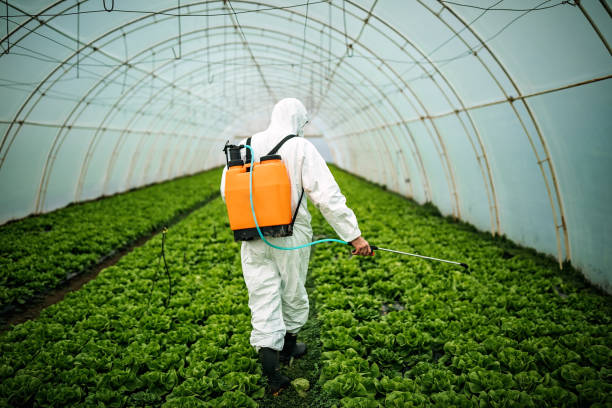 Best Local Pest Control Services  in Greenacres, CA