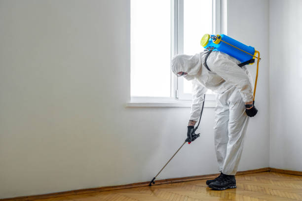 Best Affordable Pest Control Services  in Greenacres, CA