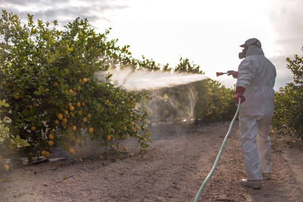 Best Commercial Pest Control Services  in Greenacres, CA