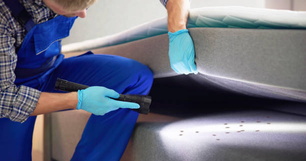 Best Termite Control Services  in Greenacres, CA