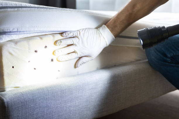 Greenacres, CA Pest Control Company