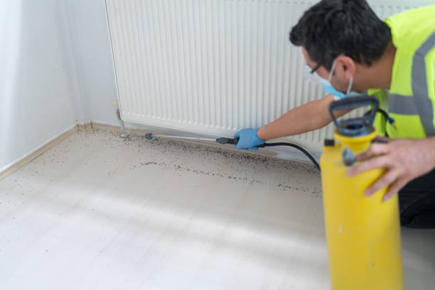 Best Best Pest Control Companies  in Greenacres, CA