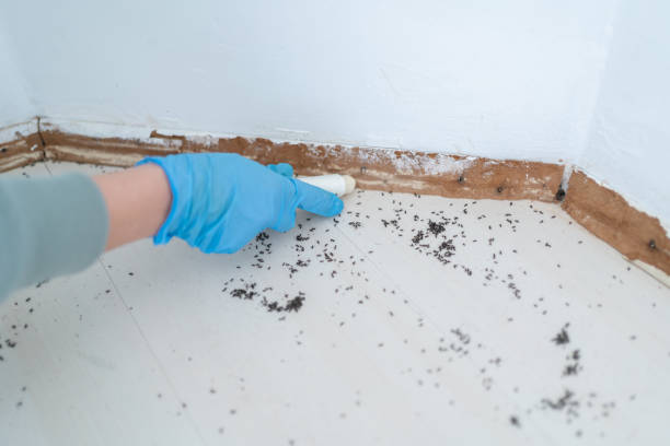 Best Residential Pest Control  in Greenacres, CA