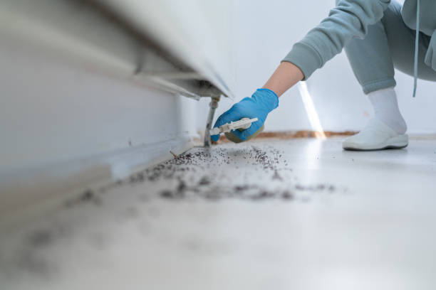 Best Flea Control Services  in Greenacres, CA