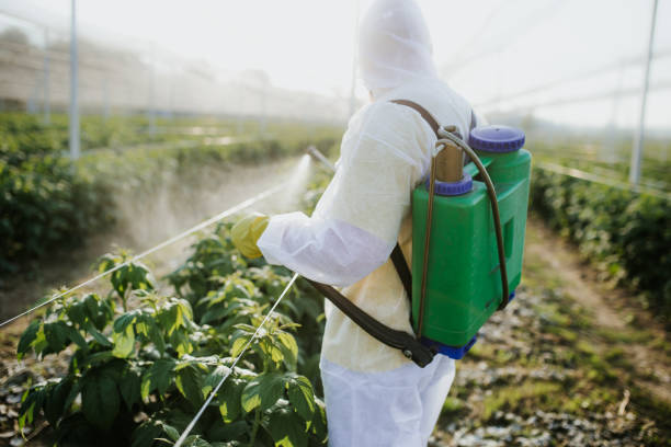 Best Exterminator Services  in Greenacres, CA